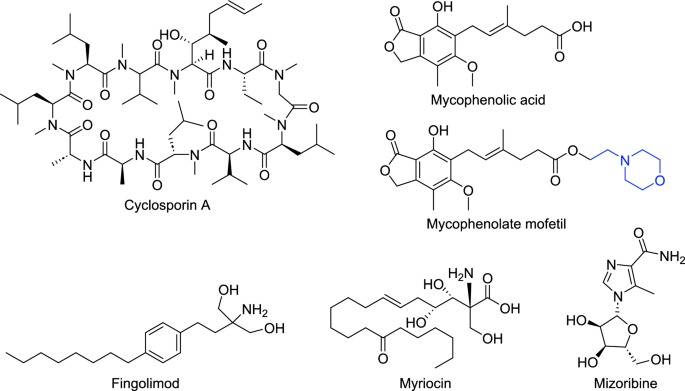 research paper of fungus figure 4