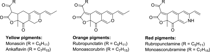 research paper of fungus figure 6