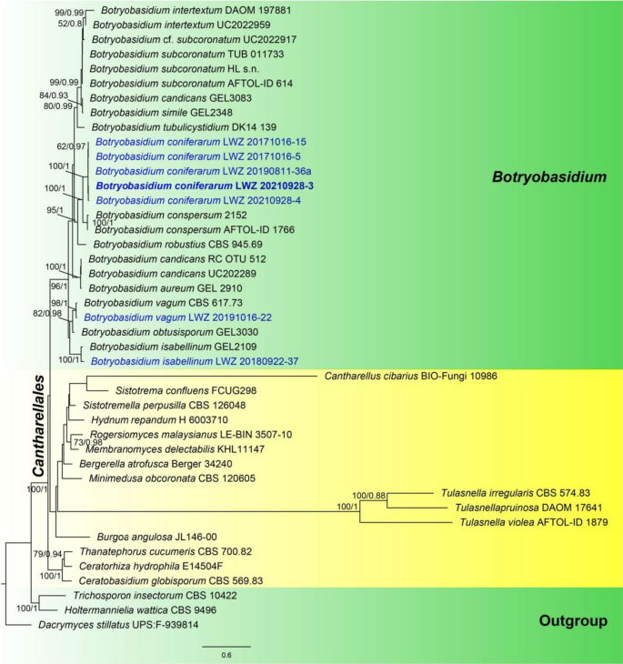 figure 116