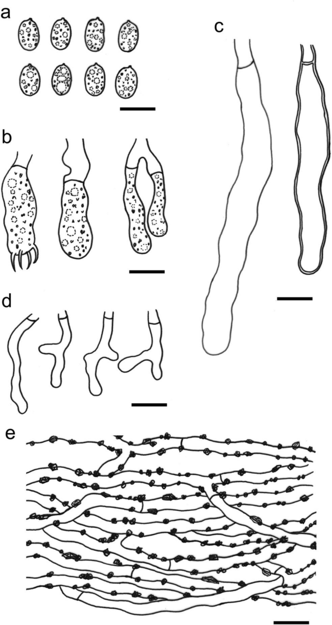 figure 143