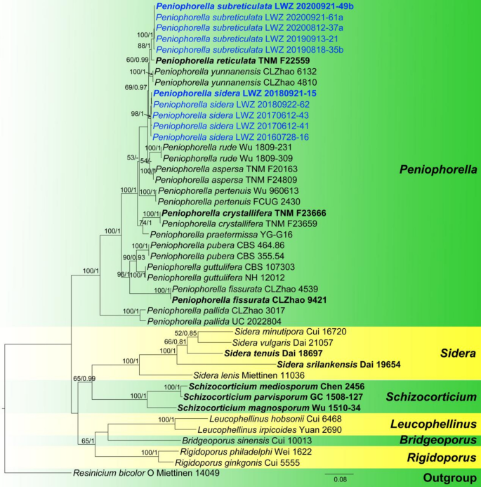 figure 145