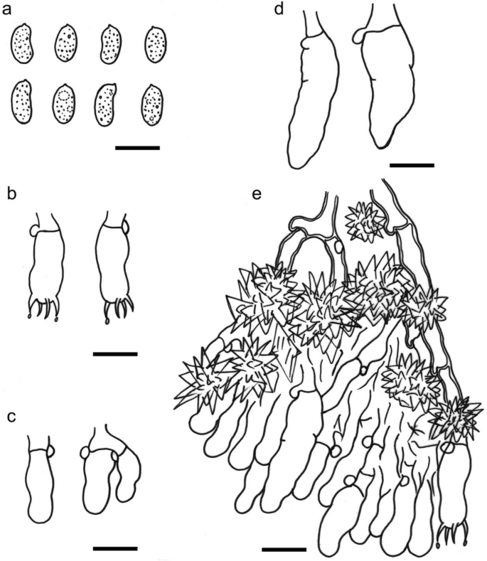 figure 147