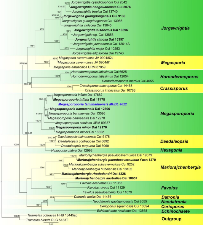 figure 161