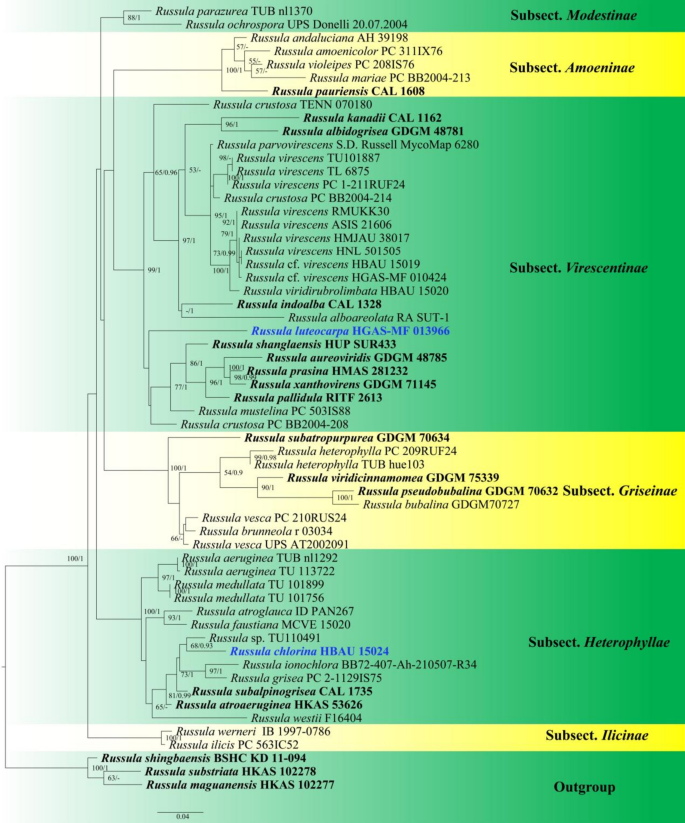 figure 169