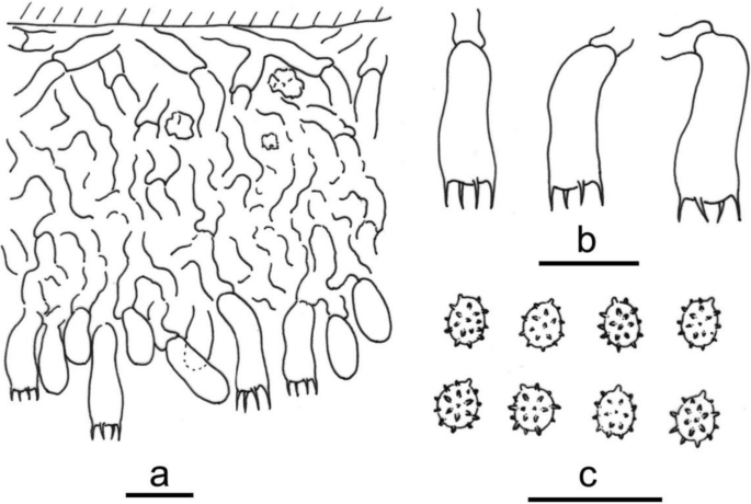 figure 187