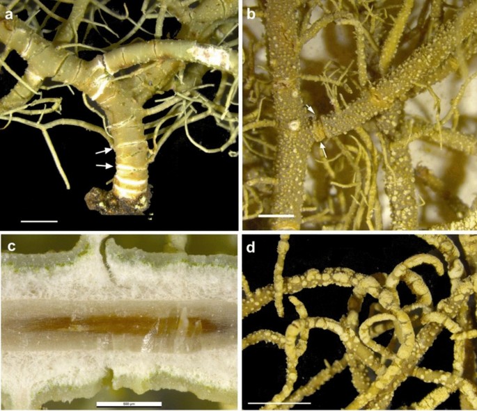 figure 23