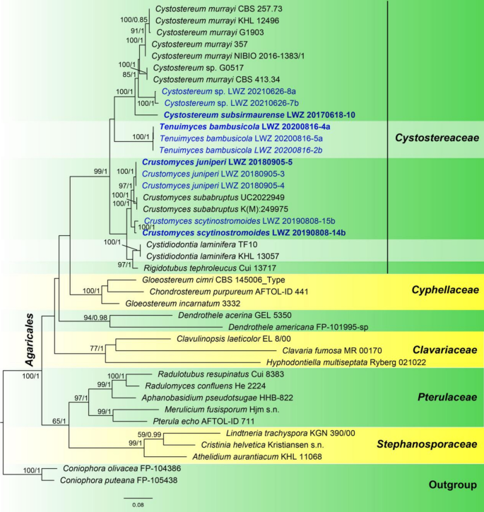 figure 68