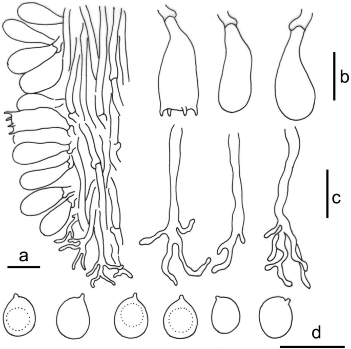 figure 76