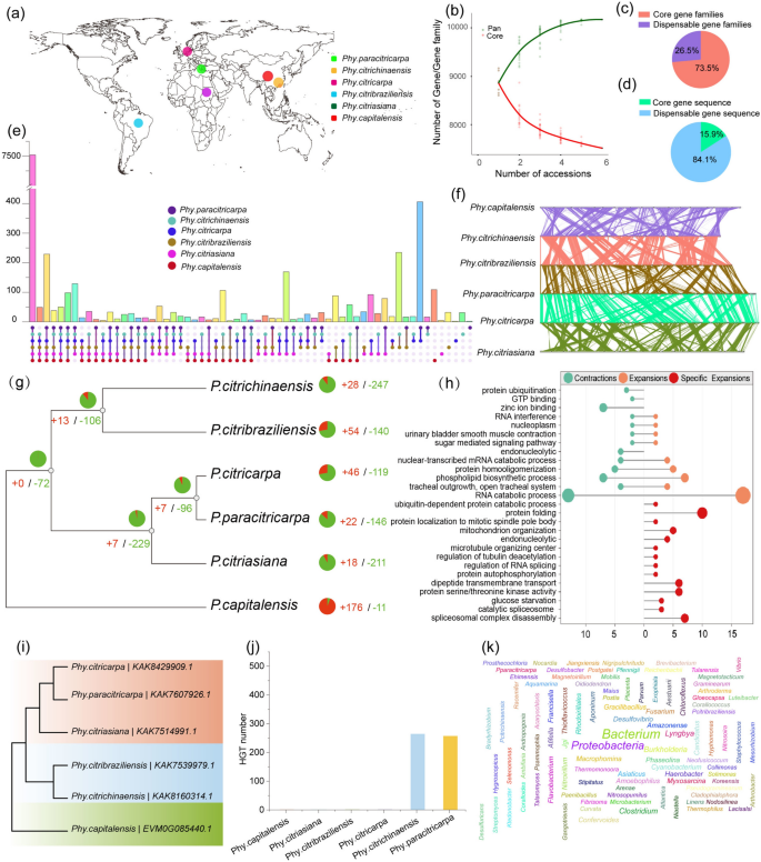 Genomic evolution and diversity in Botryosphaeriales: insights from pan ...
