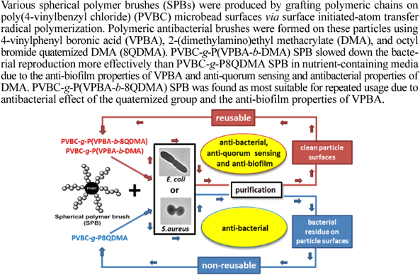 Synthesis And Antibacterial Activities Of Boronic Acid Based Recyclable Spherical Polymer Brushes Springerlink