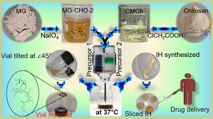 Injectable mesquite gum and carboxymethyl chitosan hydrogel using ...