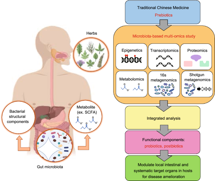 dysbiosis herbs cancer amigdala palatina