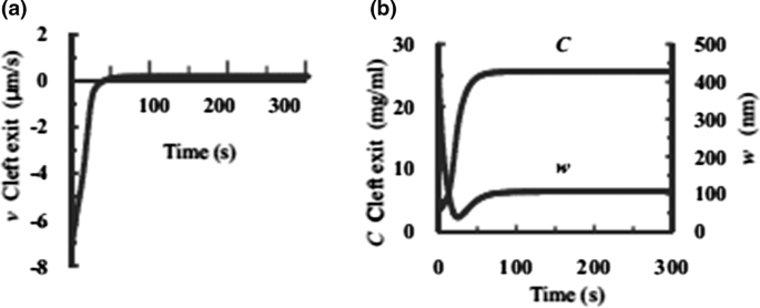 The Glycocalyx And Its Role In Vascular Physiology And Vascular Related Diseases Springerlink