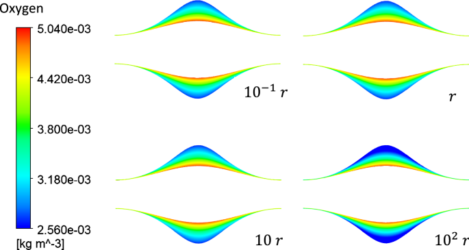 Coupled Hemodynamics And Oxygen Diffusion In Abdominal Aortic Aneurysm A Computational Sensitivity Study Springerlink