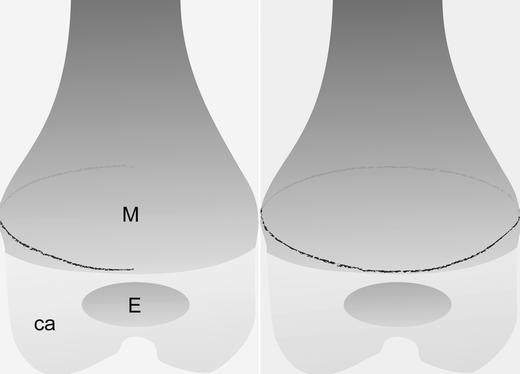 figure 24