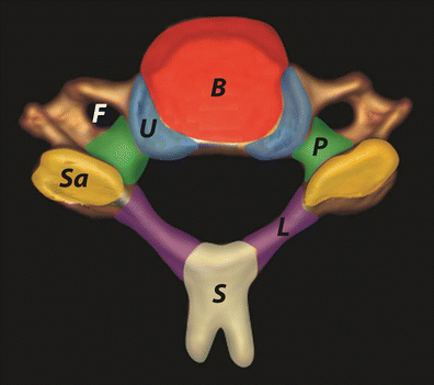 MDCT of acute subaxial cervical spine trauma: a mechanism-based approach |  Insights into Imaging | Full Text