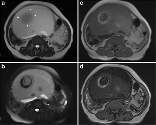 figure 23