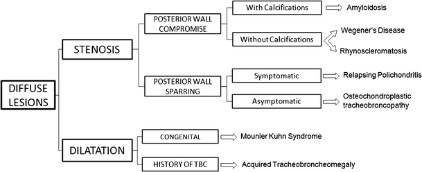 figure 24