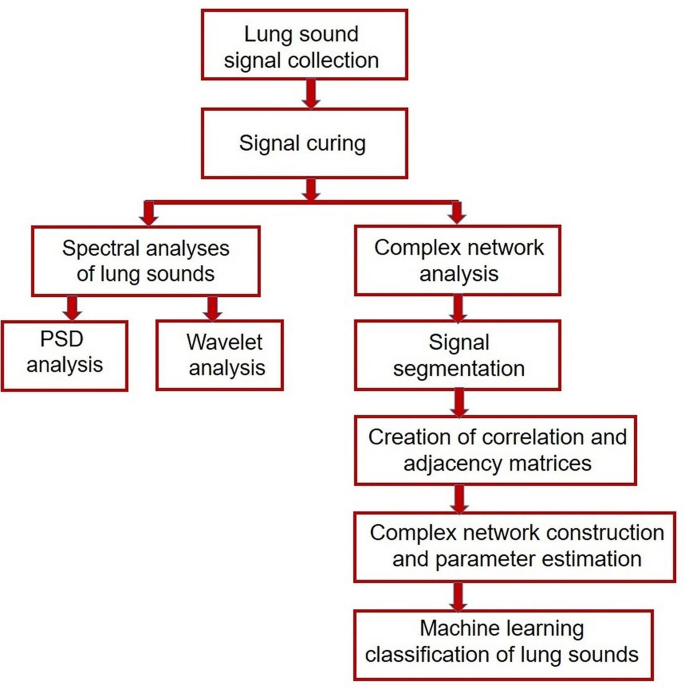 Graph features based classification of bronchial and pleural rub sound