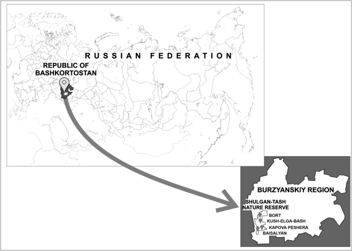 Estimation Of C Derived Introgression Into A M Mellifera Colonies In The Russian Urals Using Microsatellite Genotyping Springerlink