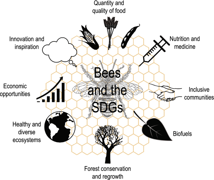 II. The Role of Beekeeping in Environmental Conservation