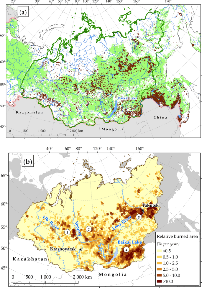 Wildfires in the Siberian taiga | SpringerLink