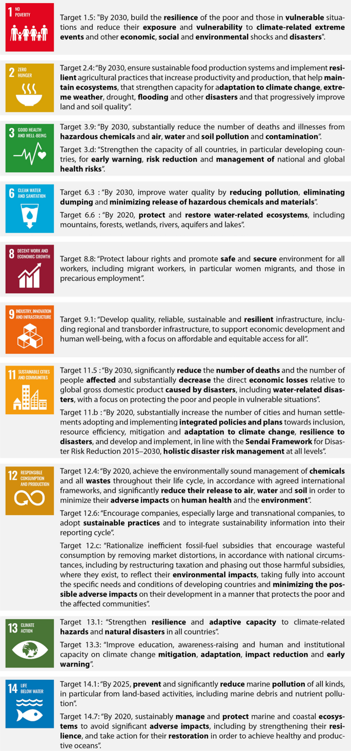 Sustainable Development Goals and risks: The Yin and the Yang of the paths  towards sustainability