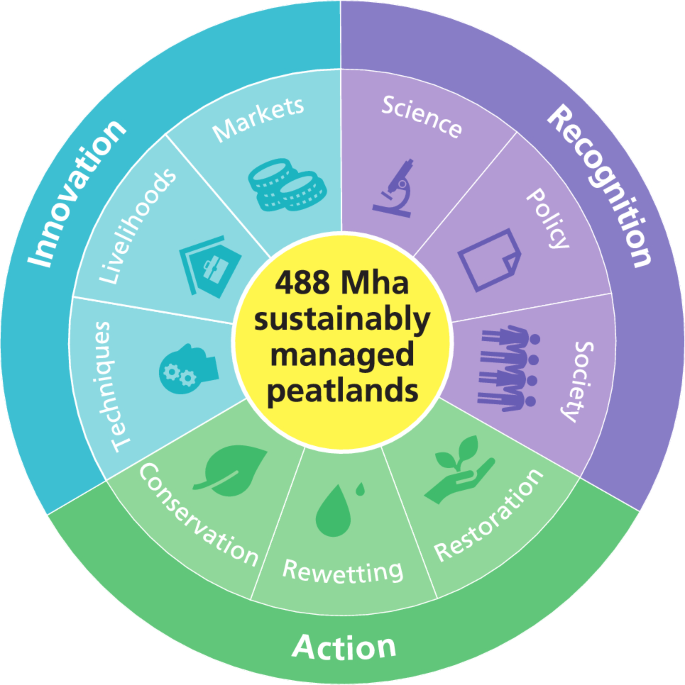 Nine peatland successes offer lessons for restoring a neglected climate ally