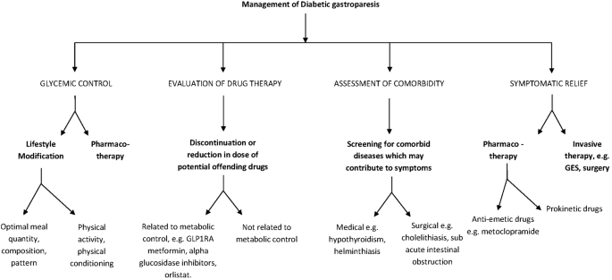 diabetic gastroparesis management guidelines