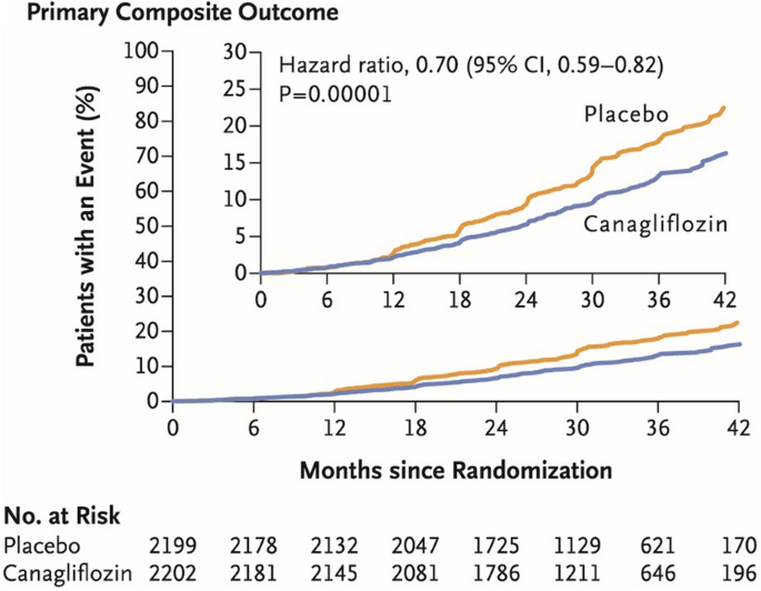 Sglt2 Inhibitors Slowing Of Chronic Kidney Disease Progression In Type 2 Diabetes Springerlink