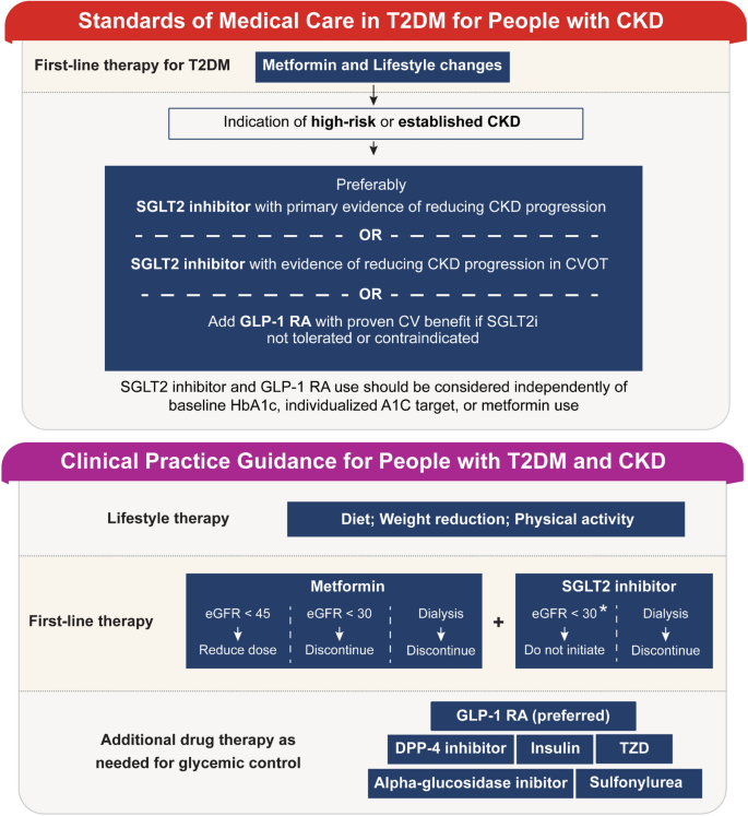 glp 1 dialysis Glucagon-Like Peptide-1 Receptor Agonist Use in People Living with Type 2  Diabetes Mellitus and Chronic Kidney Disease: A Narrative Review of the Key  Evidence with Practical Considerations | Diabetes Therapy