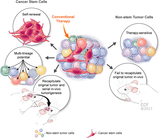 brain cancer cell