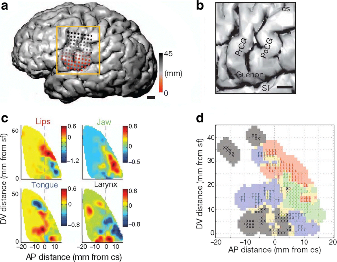 parts of the brain 8-2 parts of the brain 8-2