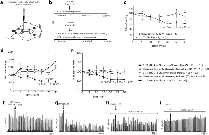 Cortical Mechanisms Of Single Pulse Transcranial Magnetic Stimulation In Migraine Springerlink