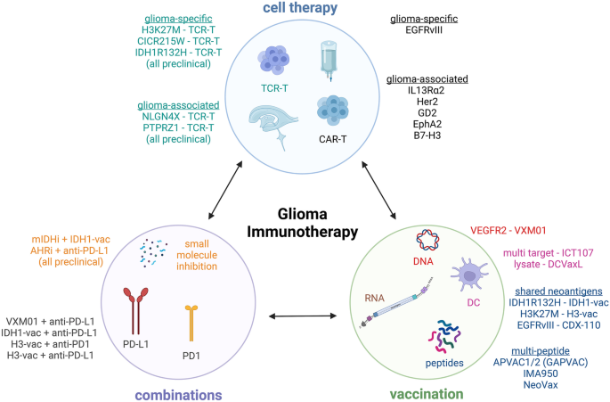 clinical-and-translational-advances-in-glioma-immunotherapy-neurotherapeutics