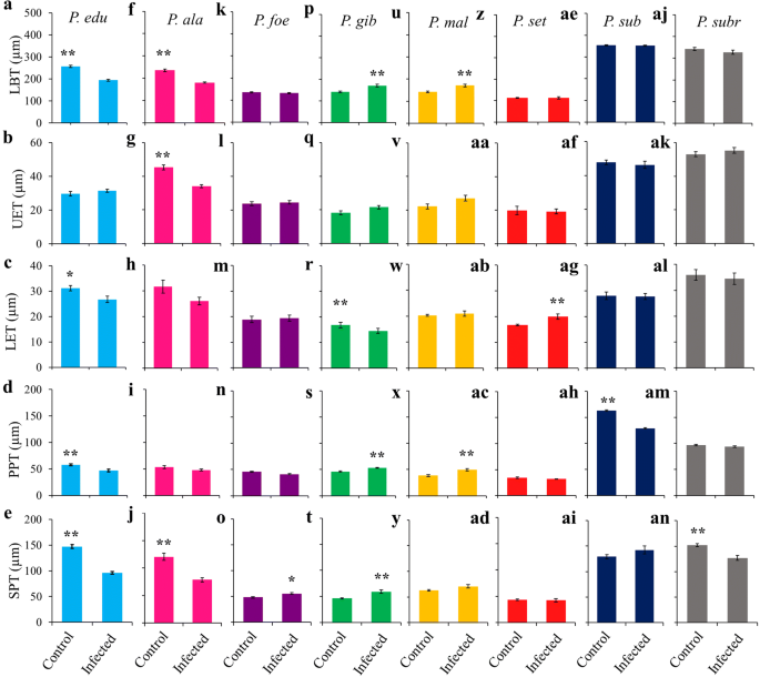 Leaf Anatomical Aspects Of Cabmv Infection In Passiflora Spp By Light And Fluorescence Microscopy Springerlink Leaf Anatomical Aspects Of Cabmv Infection In Passiflora Spp By Light And Fluorescence Microscopy Springerlink