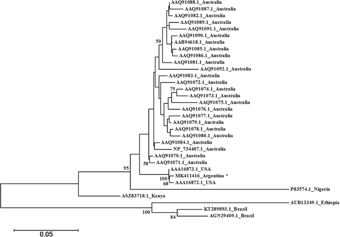 First Report Of Johnsongrass Mosaic Virus In Argentina Springerlink