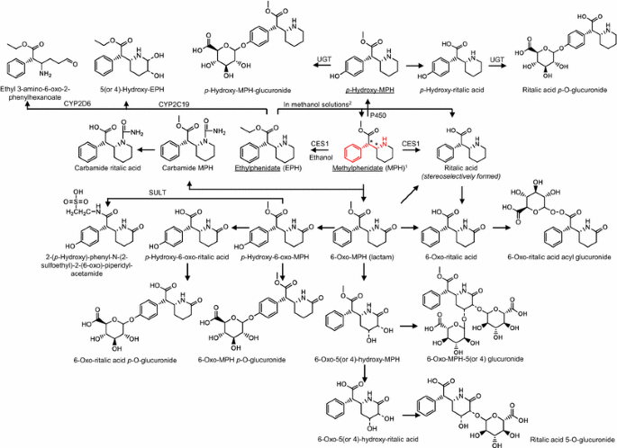 Metabolomics Of Methylphenidate And Ethylphenidate Implications