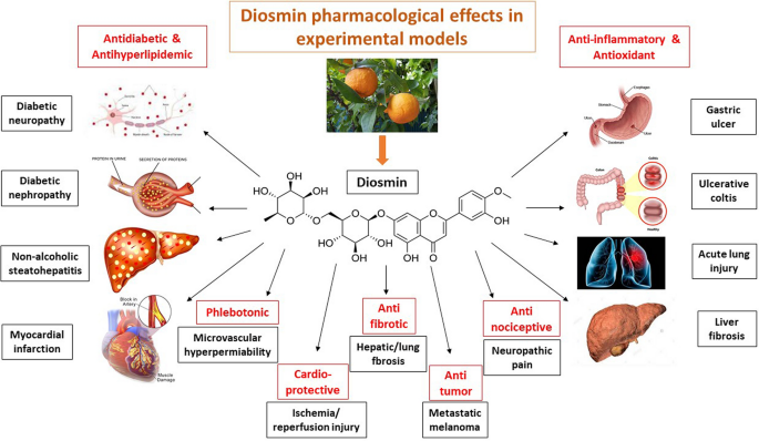 Are there any natural alternatives to Diosmin powder for hemorrhoid relief? Are there any natural alternatives to Diosmin powder for hemorrhoid relief?