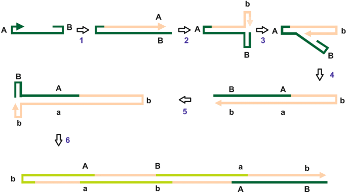 springerlink