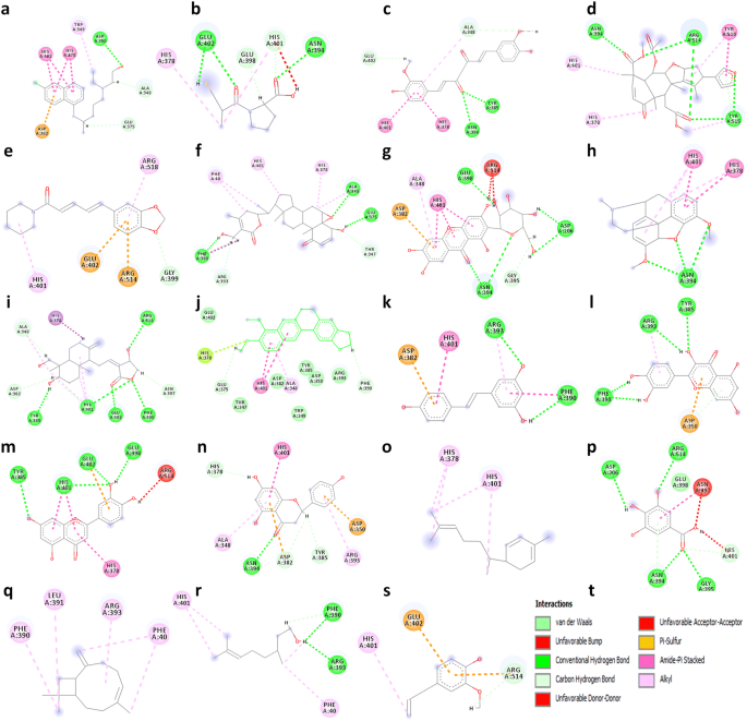 Structure Based Drug Designing For Potential Antiviral Activity Of