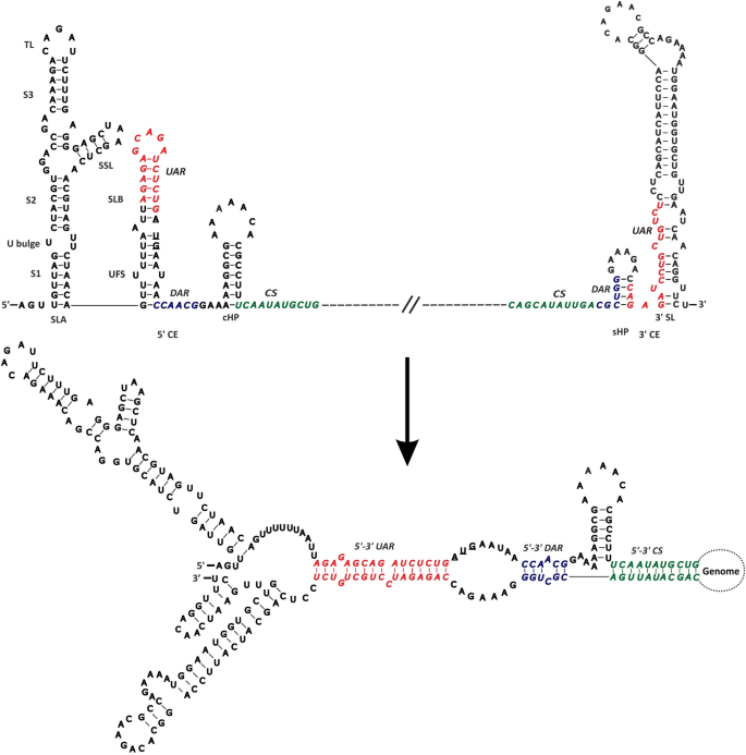 figure1