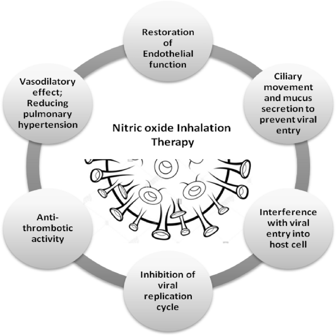 Assessment of nitric oxide (NO) potential to mitigate COVID-19 severity |  SpringerLink