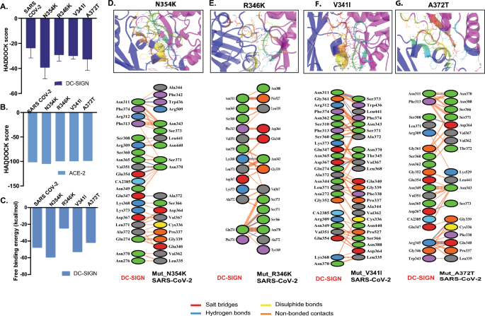 CD209L/L-SIGN and CD209/DC-SIGN Act as Receptors for SARS-CoV-2