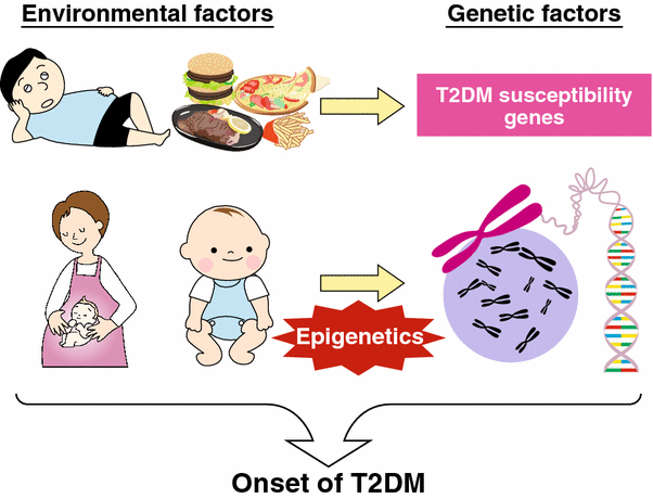 Gene–Environment Interaction In Type 2 Diabetes | Springerlink
