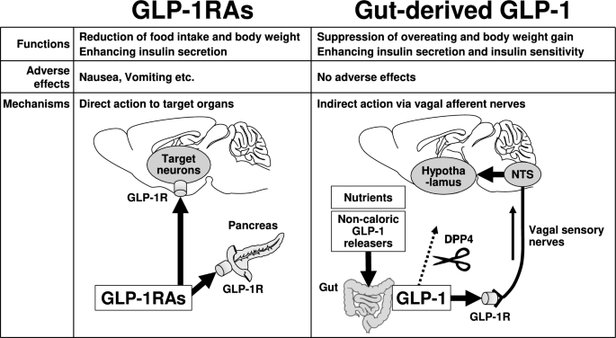 insulin drugs glp 1 receptor agonist market GLP-1 Agonists Market Report 2025-2033, By Product, Molecule, and Geo