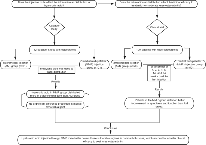 Injection route affects intra-articular hyaluronic acid distribution and  clinical outcome in viscosupplementation treatment for knee osteoarthritis:  a combined cadaver study and randomized clinical trial | SpringerLink