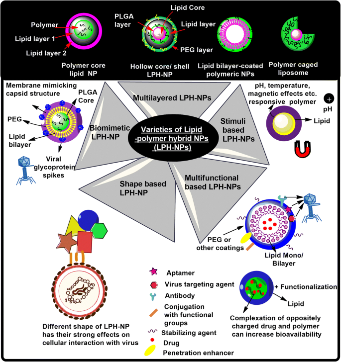 A novel N95 respirator with chitosan nanoparticles: mechanical, antiviral,  microbiological and cytotoxicity evaluations