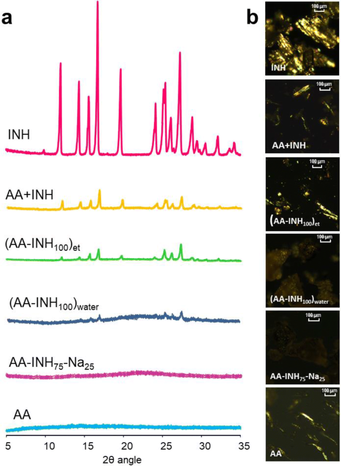 Anti-tuberculosis site-specific oral delivery system that enhances  rifampicin bioavailability in a fixed-dose combination with isoniazid