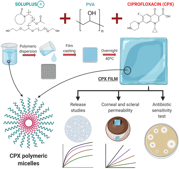 ciprofloxacin self dissolvable soluplus based polymeric films a novel proposal to improve the management of eye infections springerlink 